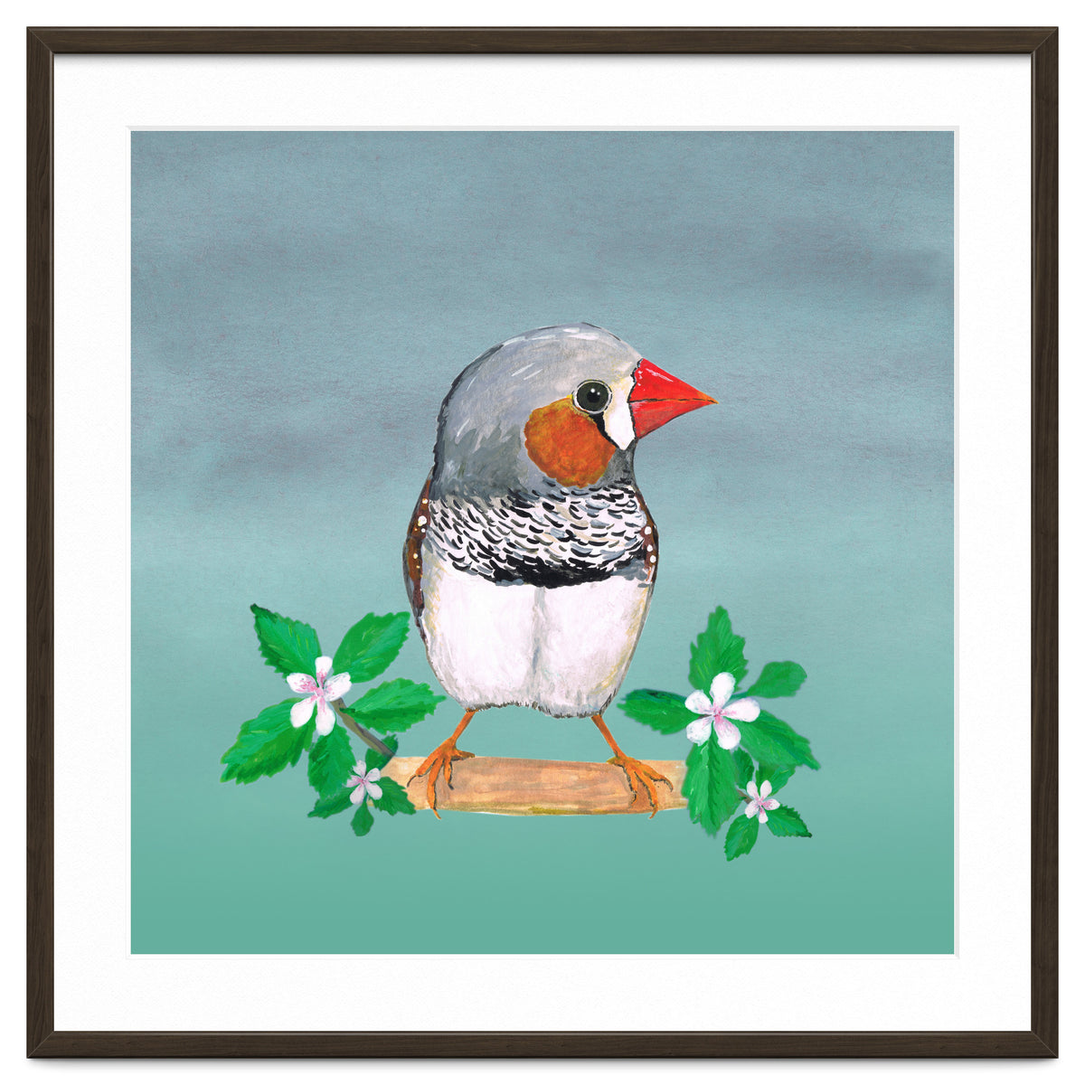 Zebra finch