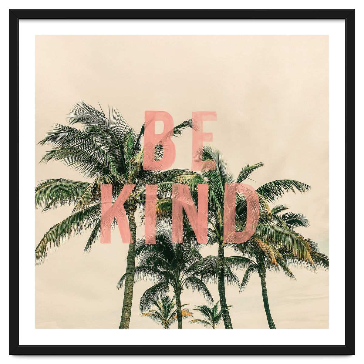 Be Kind Palm
