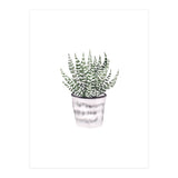 Potted Plant (Print Only) thumbnail