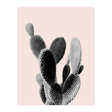 50 (Print Only) thumbnail