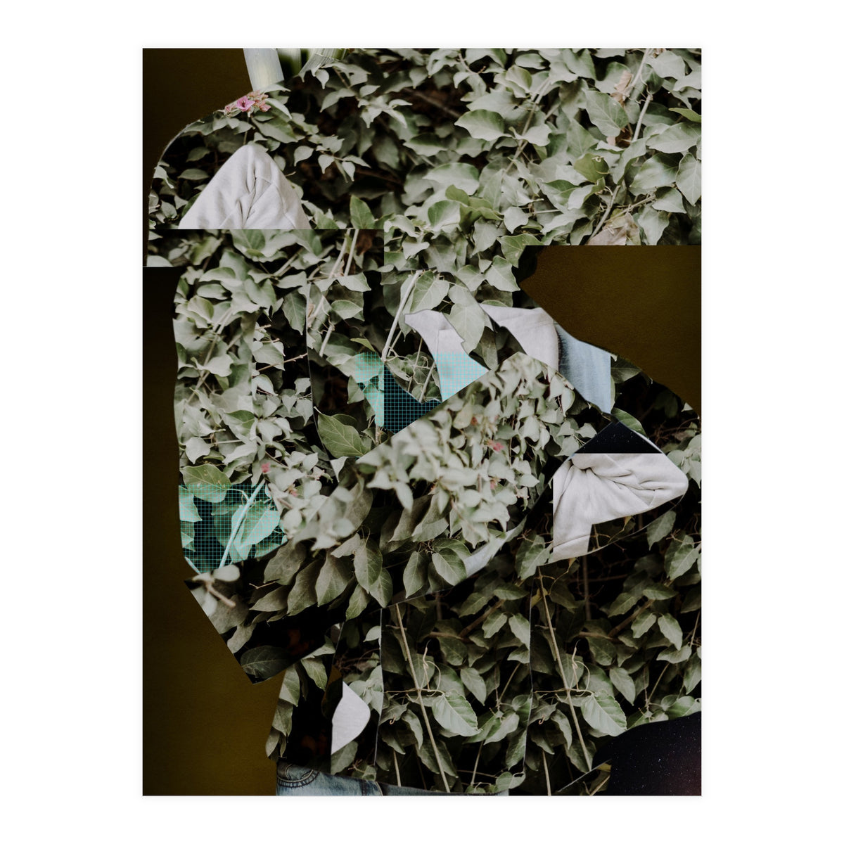 Disappeared Dreams 2 (Print Only)