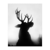 roar (Print Only) thumbnail