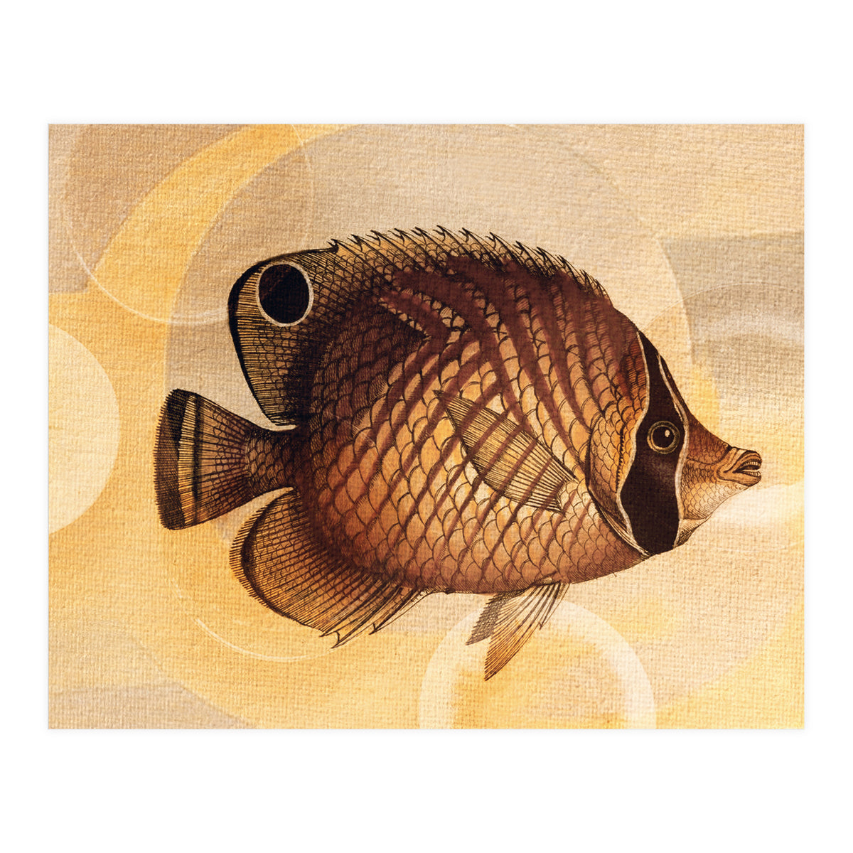 Fish Between Circles 3 (Print Only)