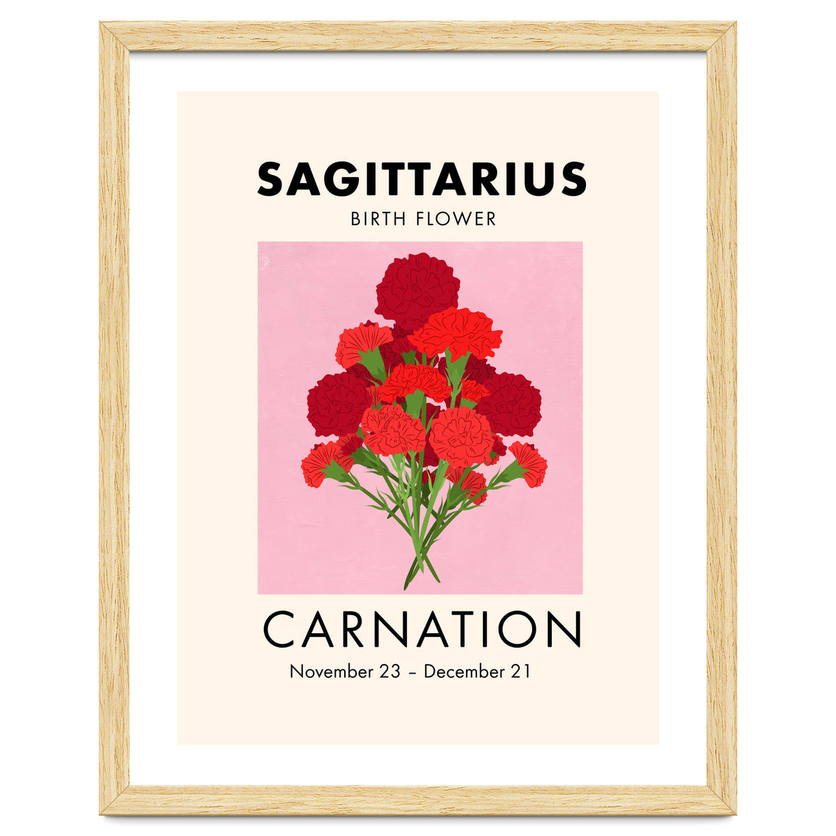Sagittarius Birth Flower Carnation