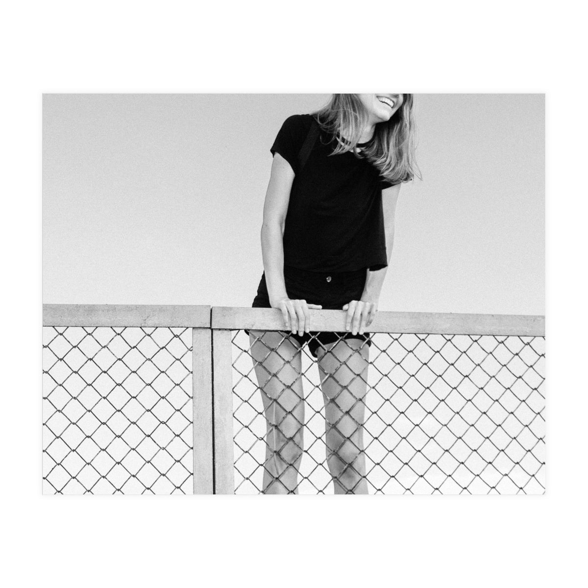 Hopping Fences (Print Only)