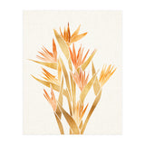 Tropical Bird of Paradise Bouquet (Print Only) thumbnail
