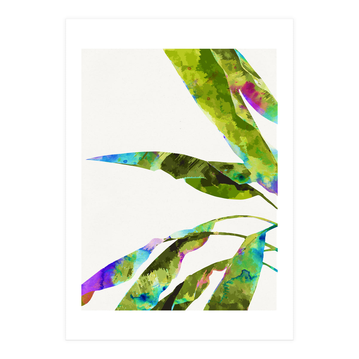 Banana Leaves Holi (Print Only)