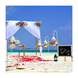 Beach (Print Only) thumbnail