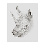 Rhinoplasty (Print Only) thumbnail