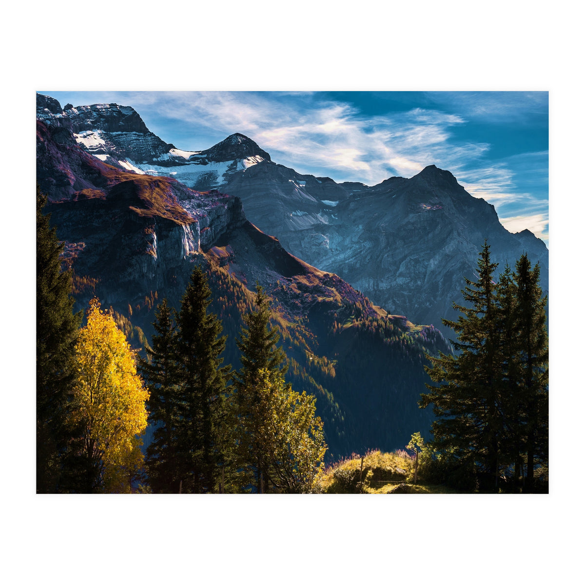 Nature SPIRIT (Print Only)