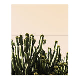 Cactus Vertical Color (Print Only) thumbnail