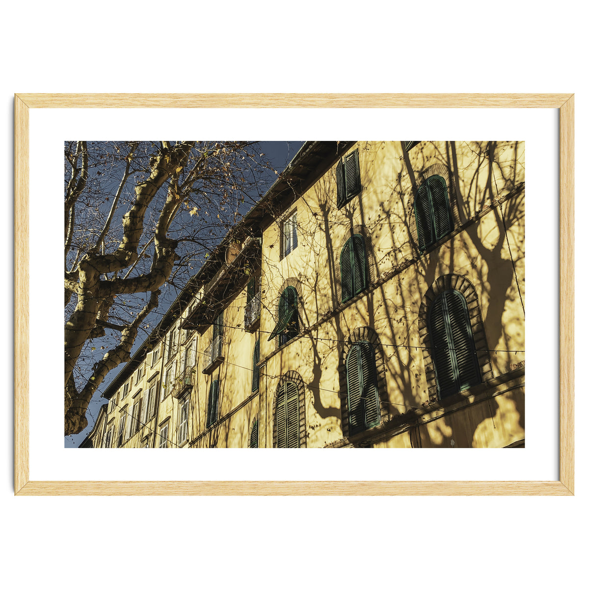 Windows From Tuscany 3