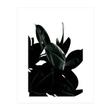 Dark Tree (Print Only) thumbnail