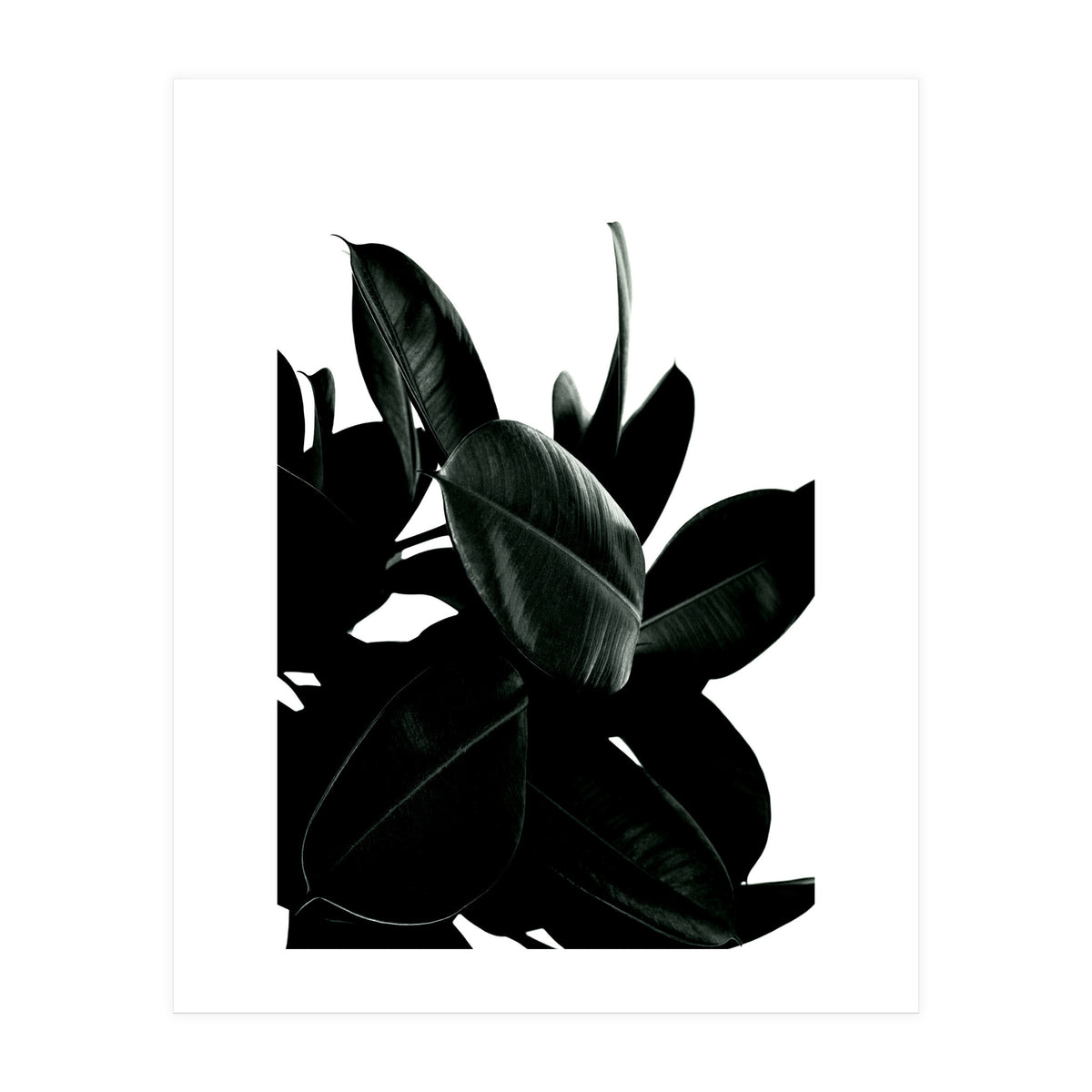 Dark Tree (Print Only)