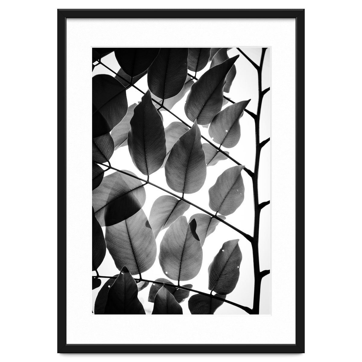 Branches and Leaves II