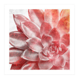 Rough Beauty 2 (Print Only) thumbnail