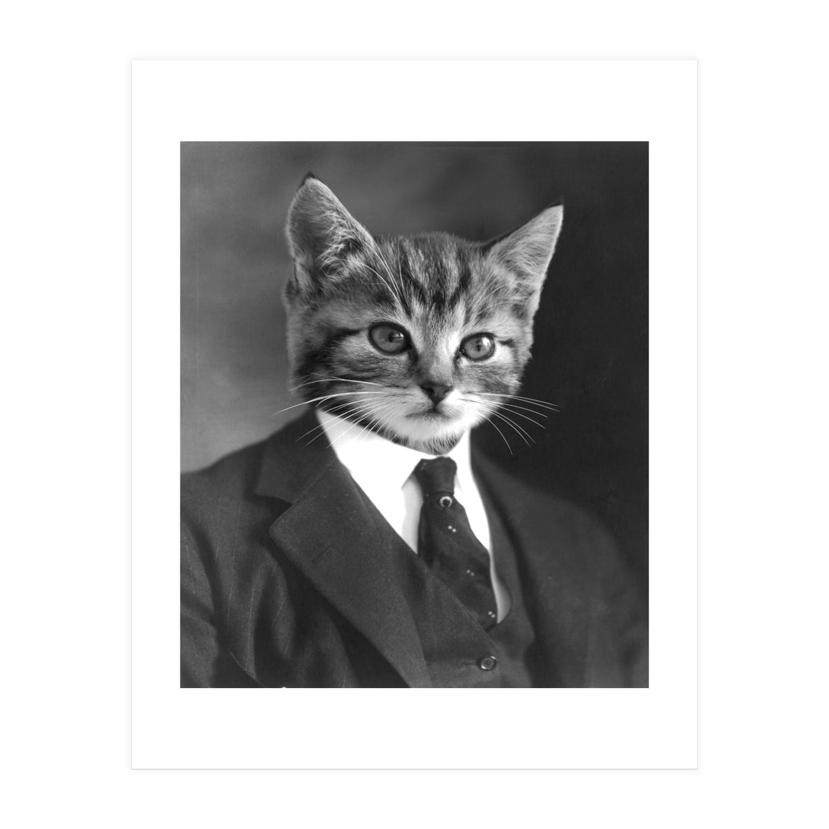 Gentleman Cat (Print Only)