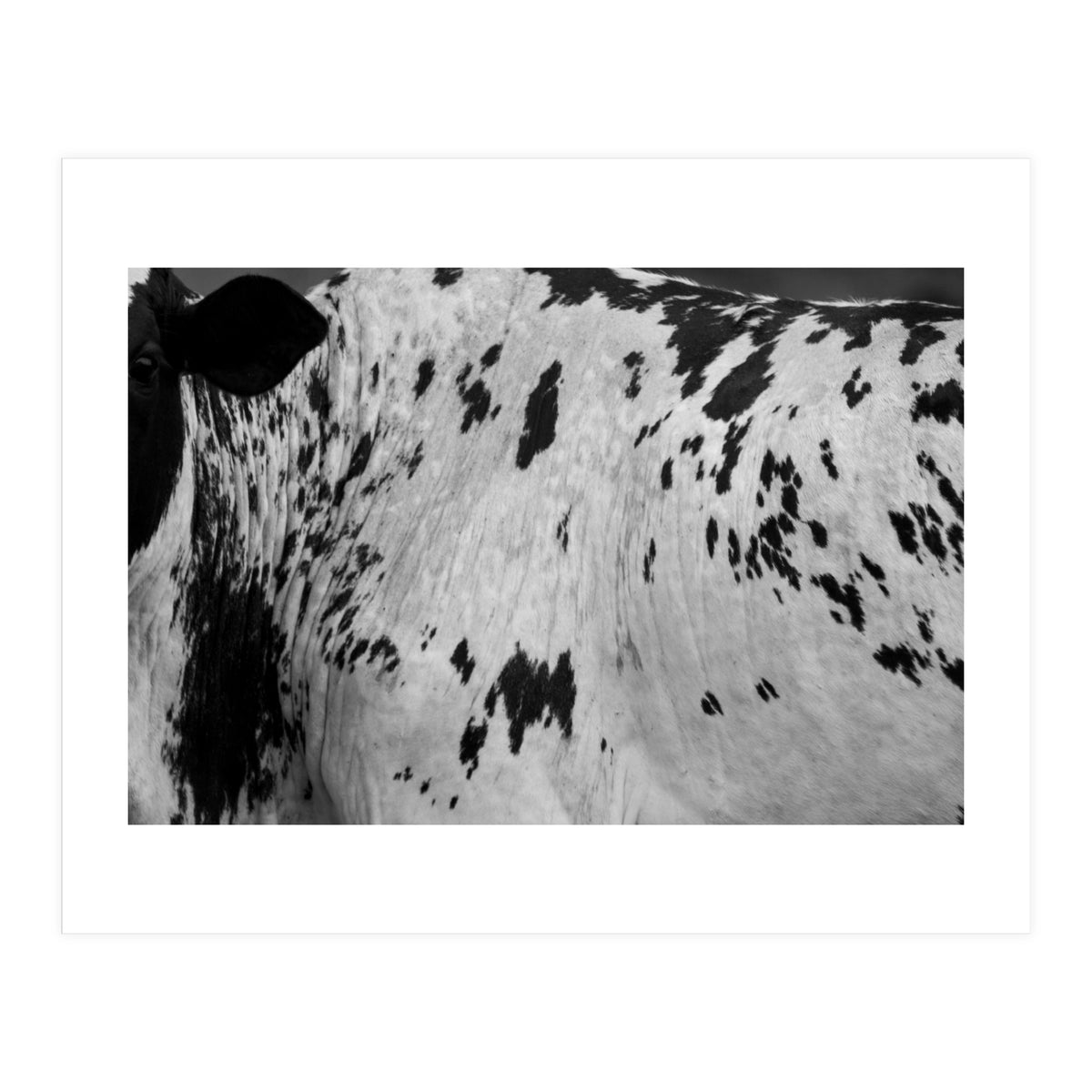 Abstract #3 (Print Only)