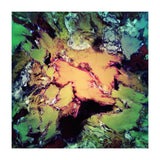 Bathe (Print Only) thumbnail