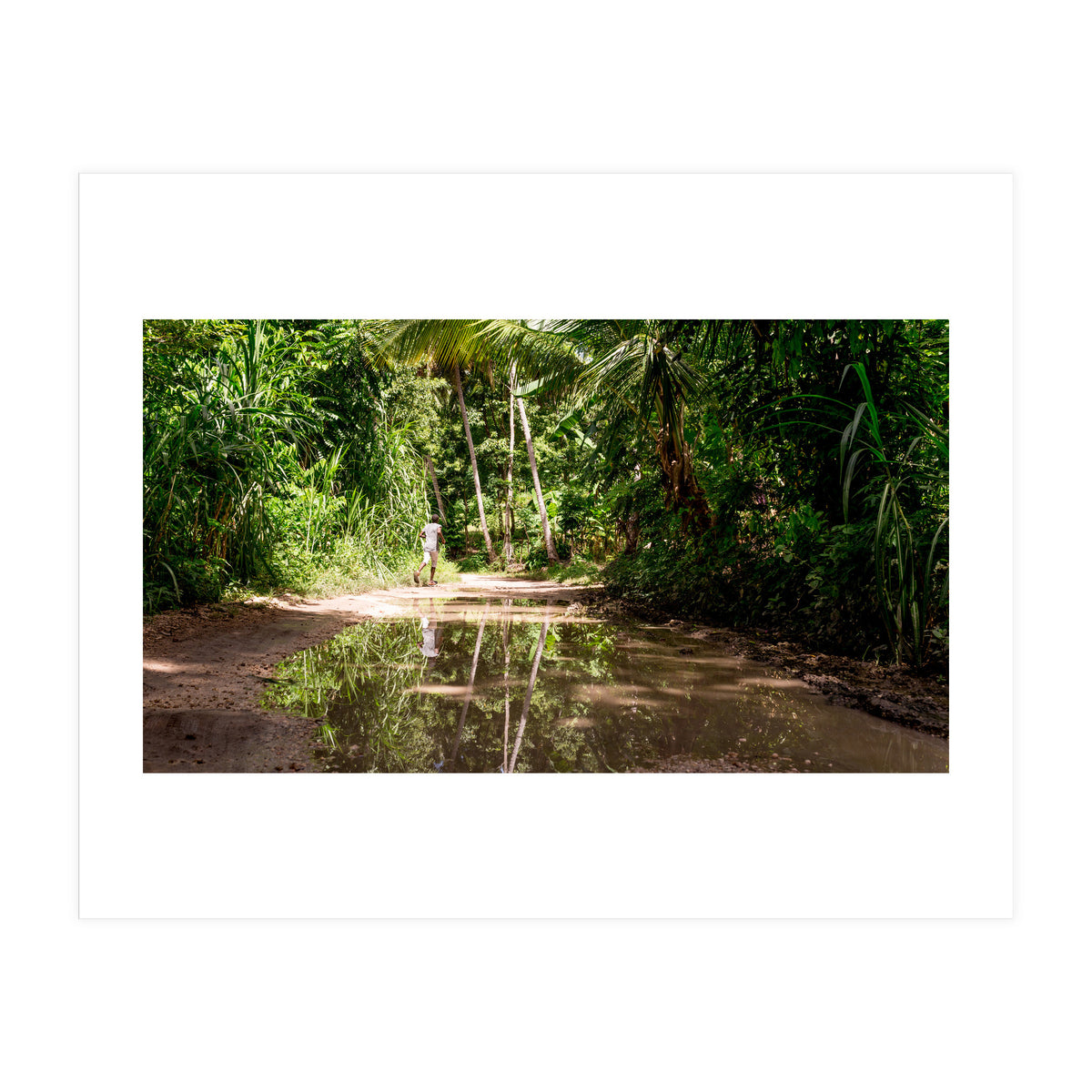 Haitian Bush (Print Only)