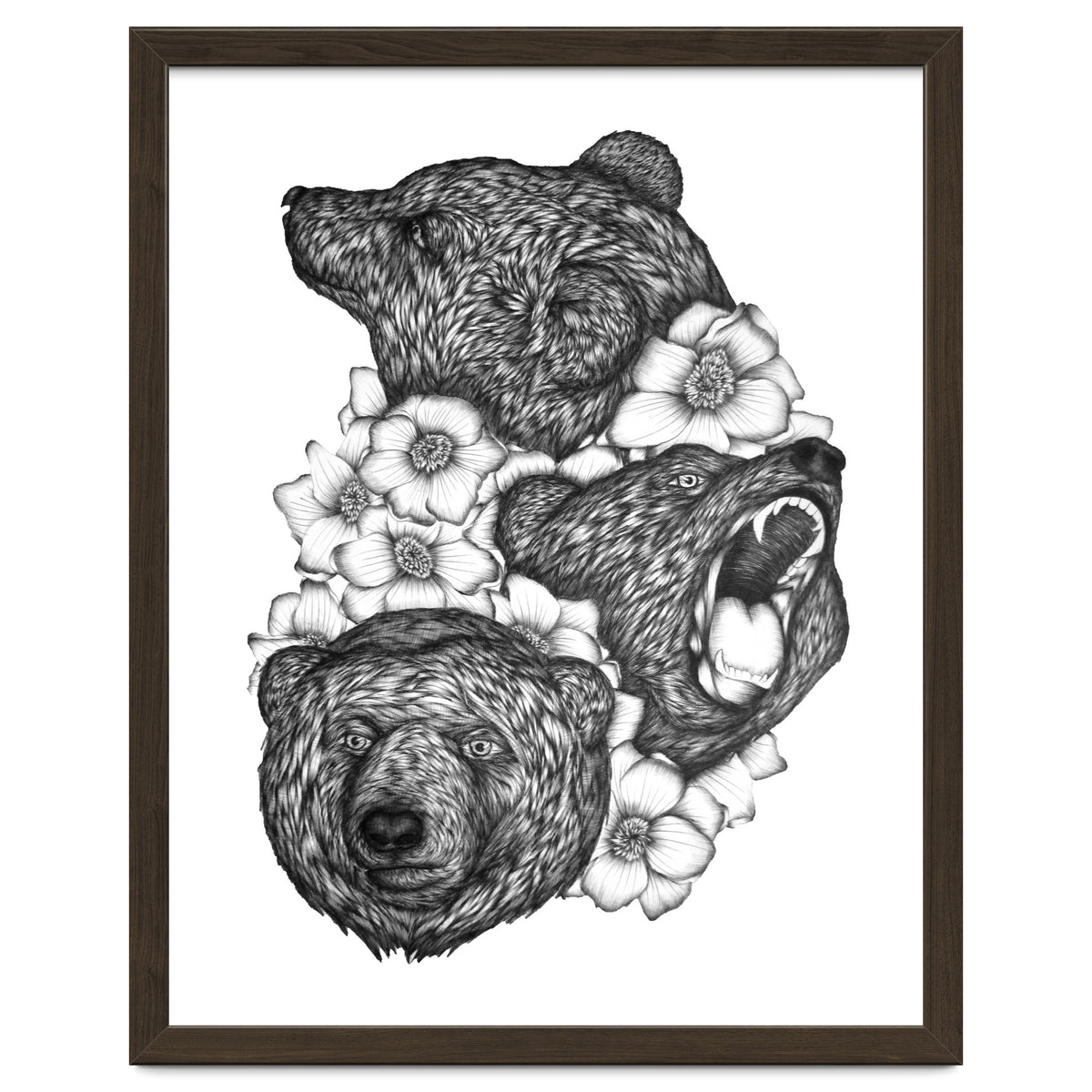 Bears In Bears