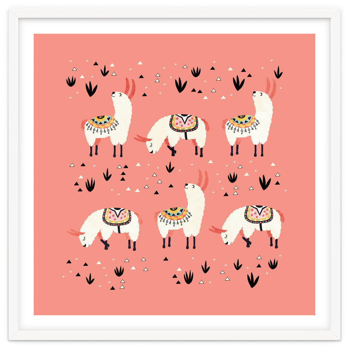 White Llamas In Pink Desert