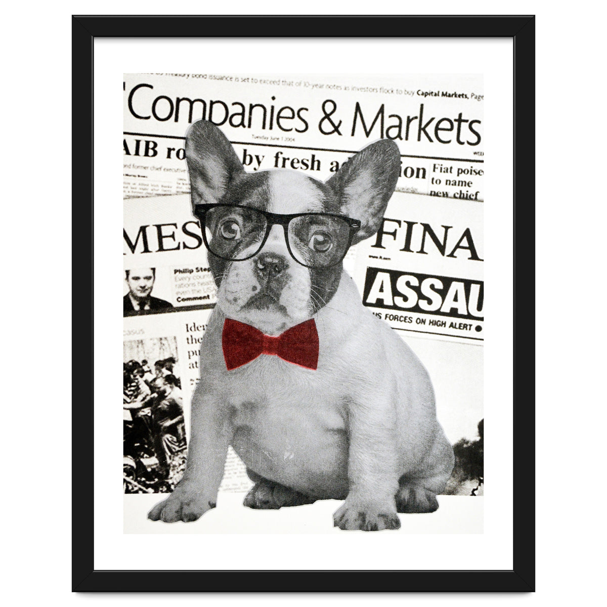 The Dog Of Wall Street