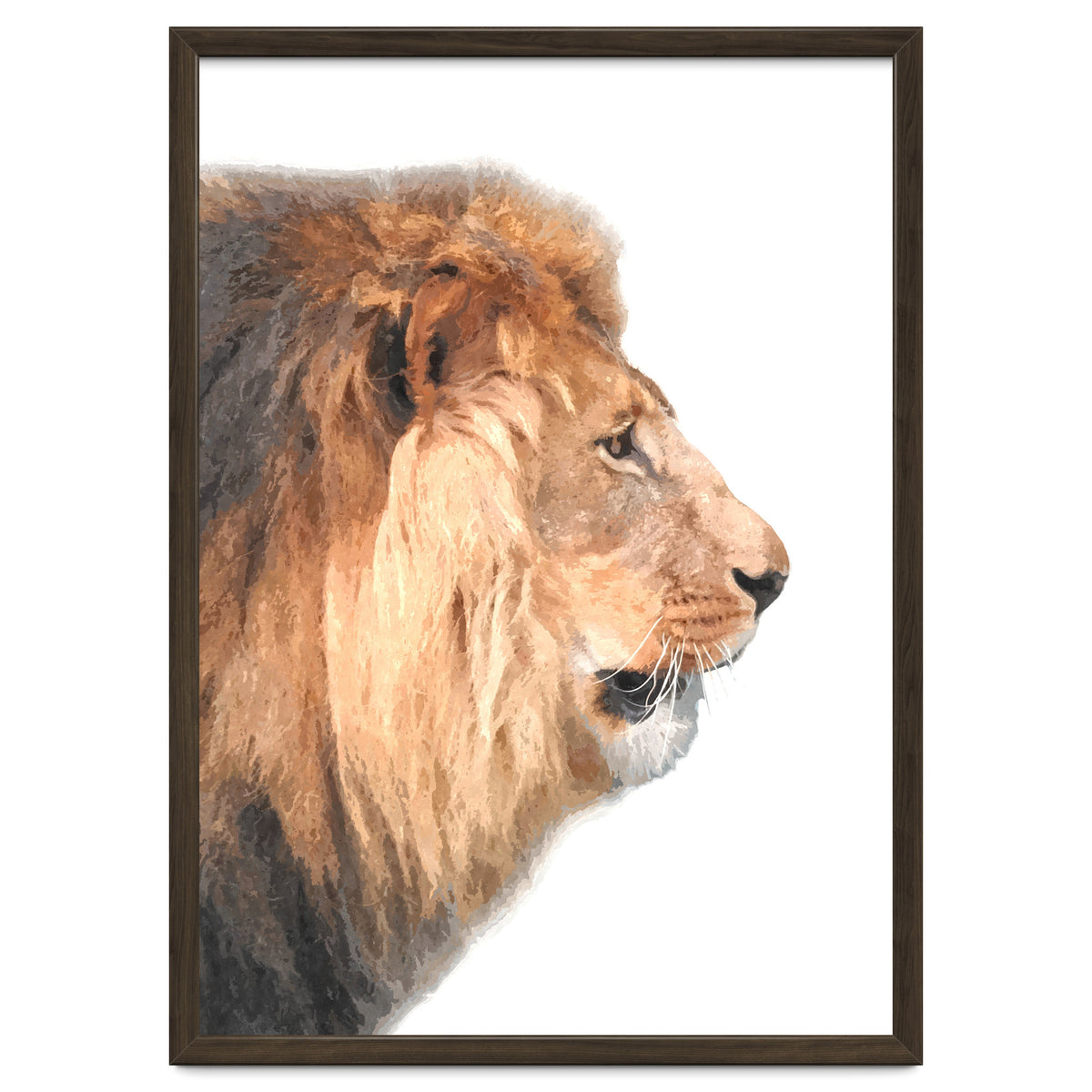 Lion Profile