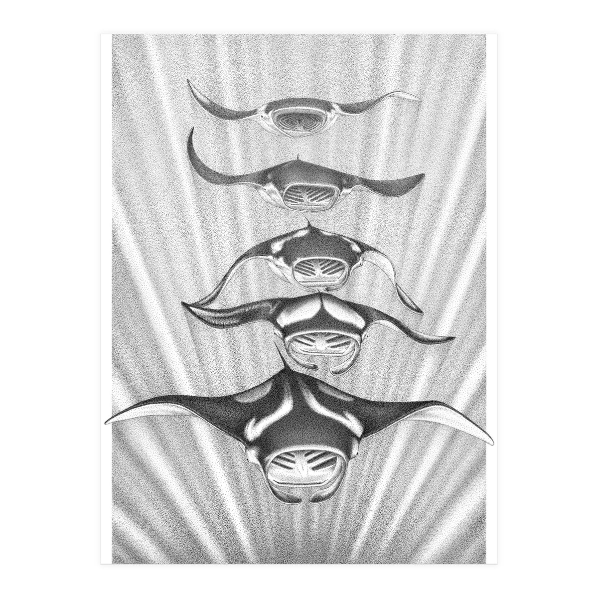 Manta Train (Print Only)