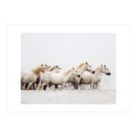 White Horses - Nature Photography (Print Only)