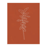 Line Art Botanical Terracotta (Print Only) thumbnail