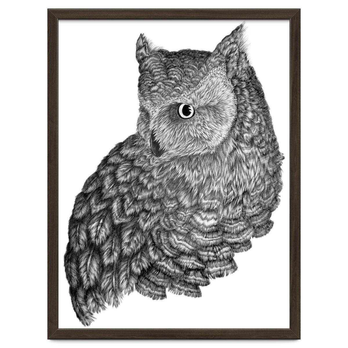 A Friend For Forsythe