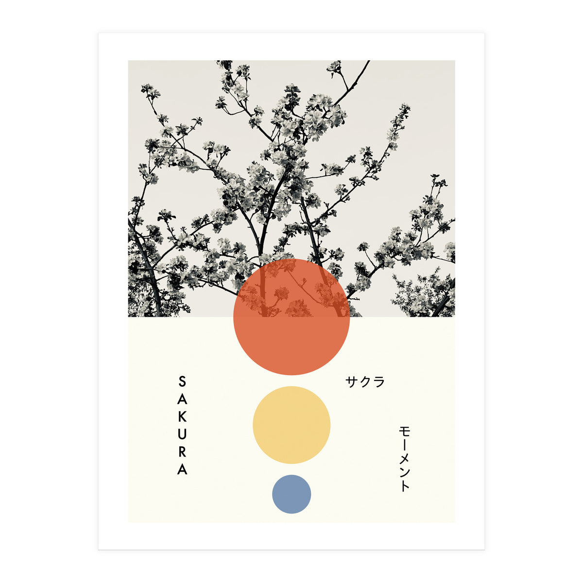 Sakura - Cherry blossom - Japanese - Photography (Print Only)