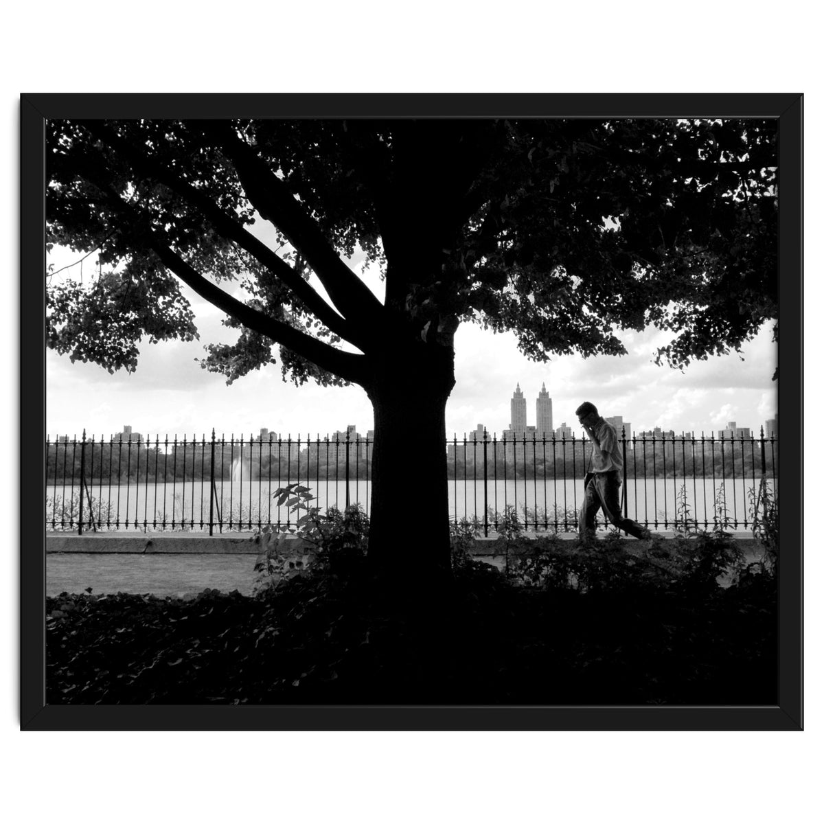 Central Park, New York City