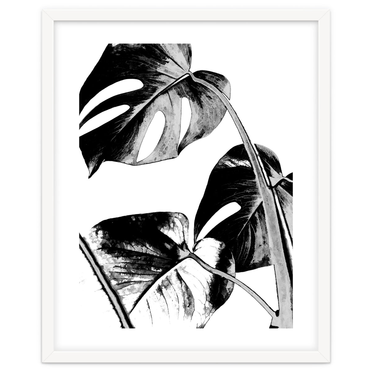 Black Tropical Leaves