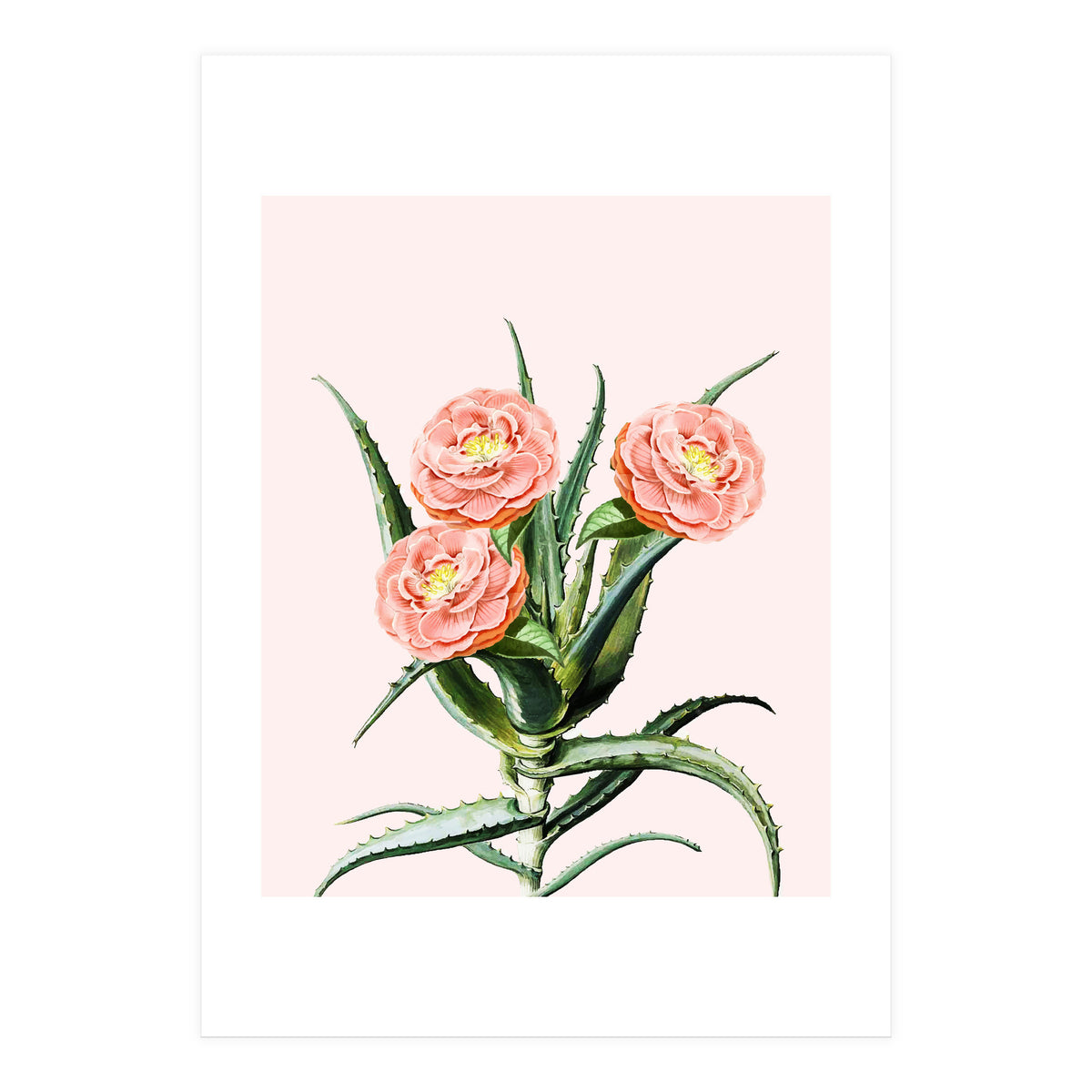 Blush Cactus V2 (Print Only)
