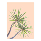 Tropical Serenity | Botanical Nature Plants | Boho Jungle Floral Garden | Watercolor Palm Painting (Print Only) thumbnail