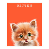 Kitten (Print Only) thumbnail