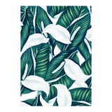 Tropical Winter (Print Only) thumbnail