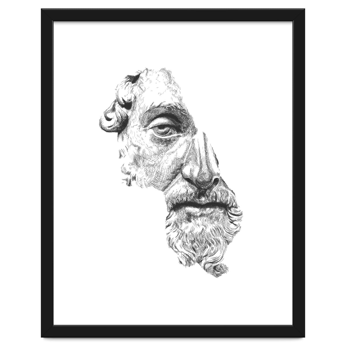 MARCUS AURELIUS ANTONINUS AUGUSTUS / black and white