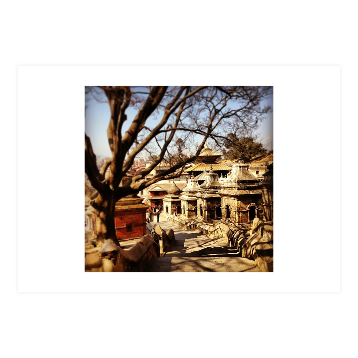 Pashupati Nath Ji (Print Only)