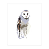 Owl (Print Only) thumbnail