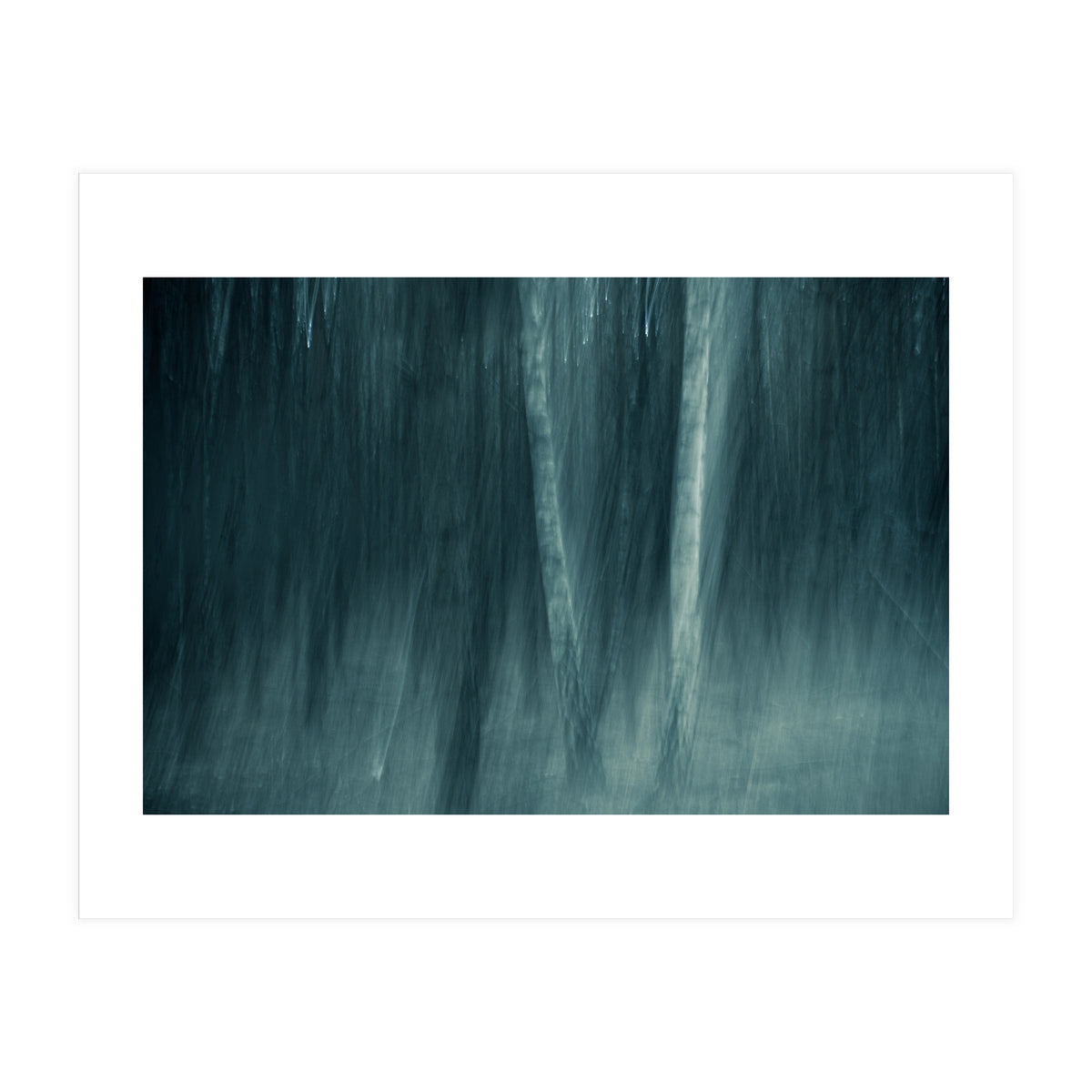 spell (Print Only)
