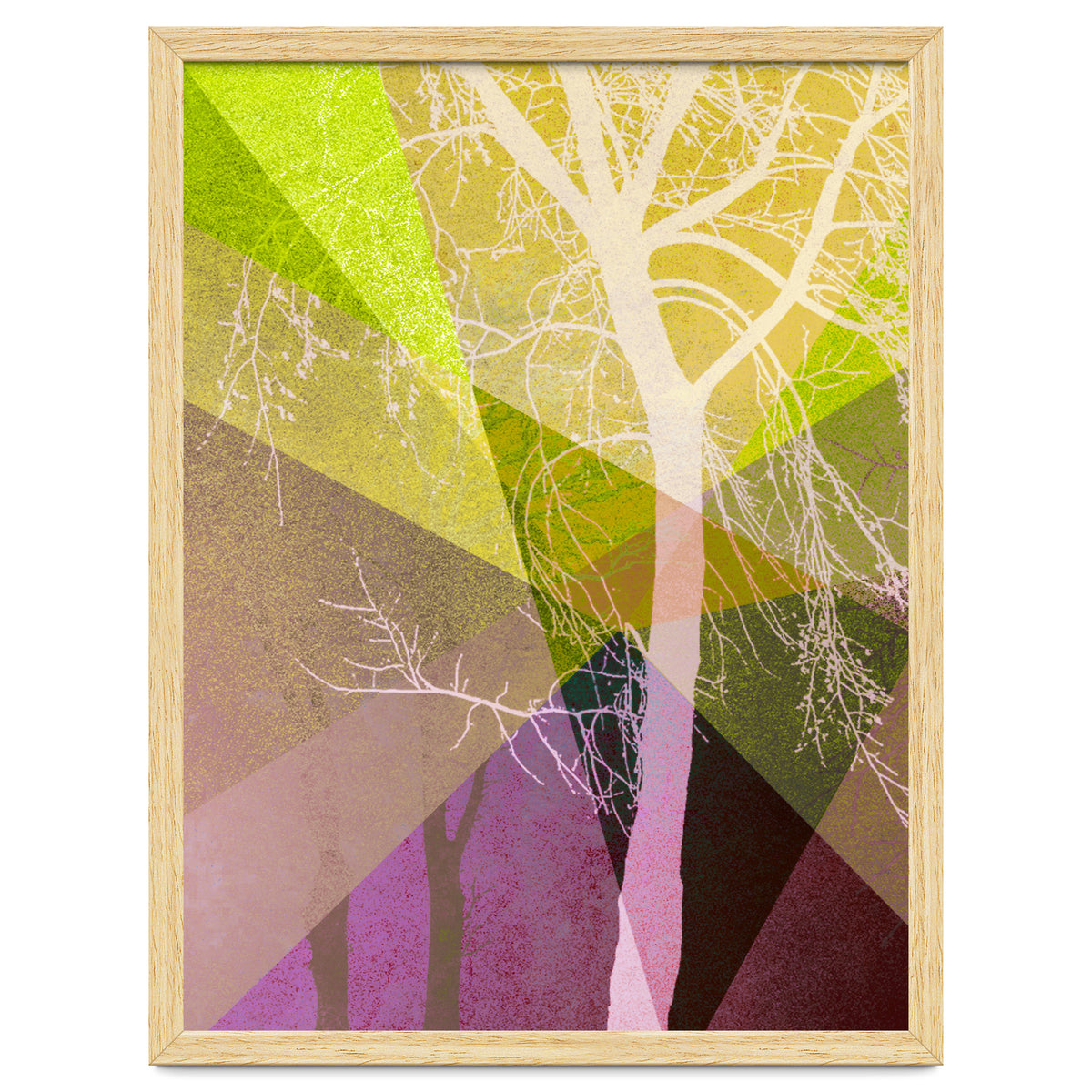 P22 A Trees And Triangles