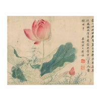 Qing Wangwu Flower album, lotus, lotus leaf, pond, copy of water grass (Print Only)