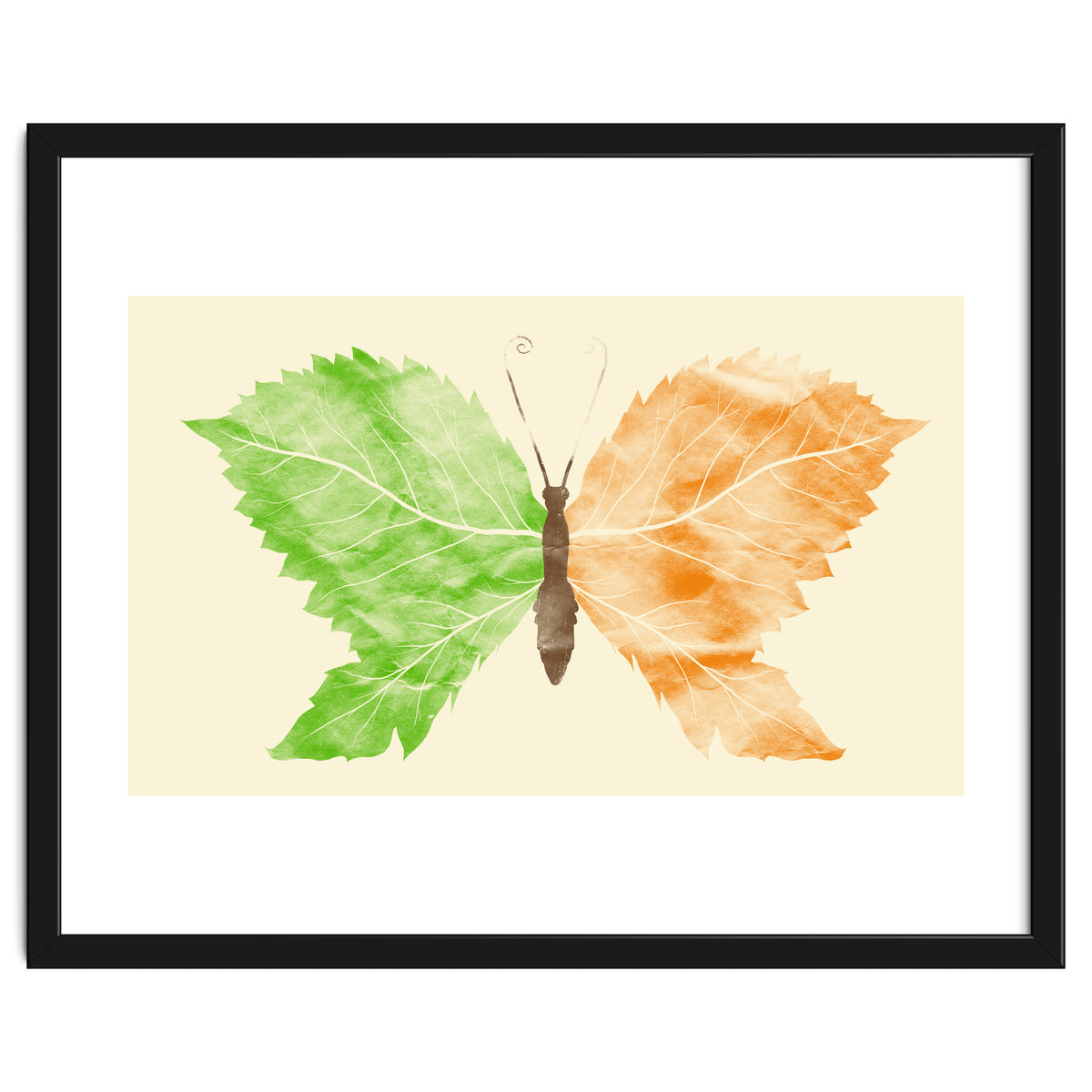 Seasons Change Time Flies