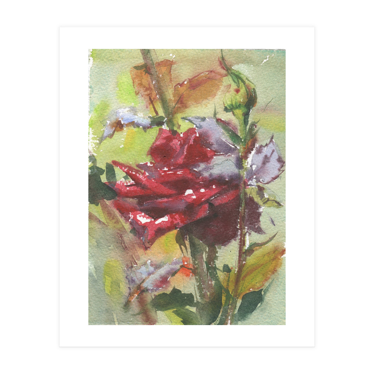 Spice Rose watercolor painting (Print Only)