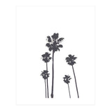 Palms & Sunset-Minimal B&W 2 (Print Only) thumbnail