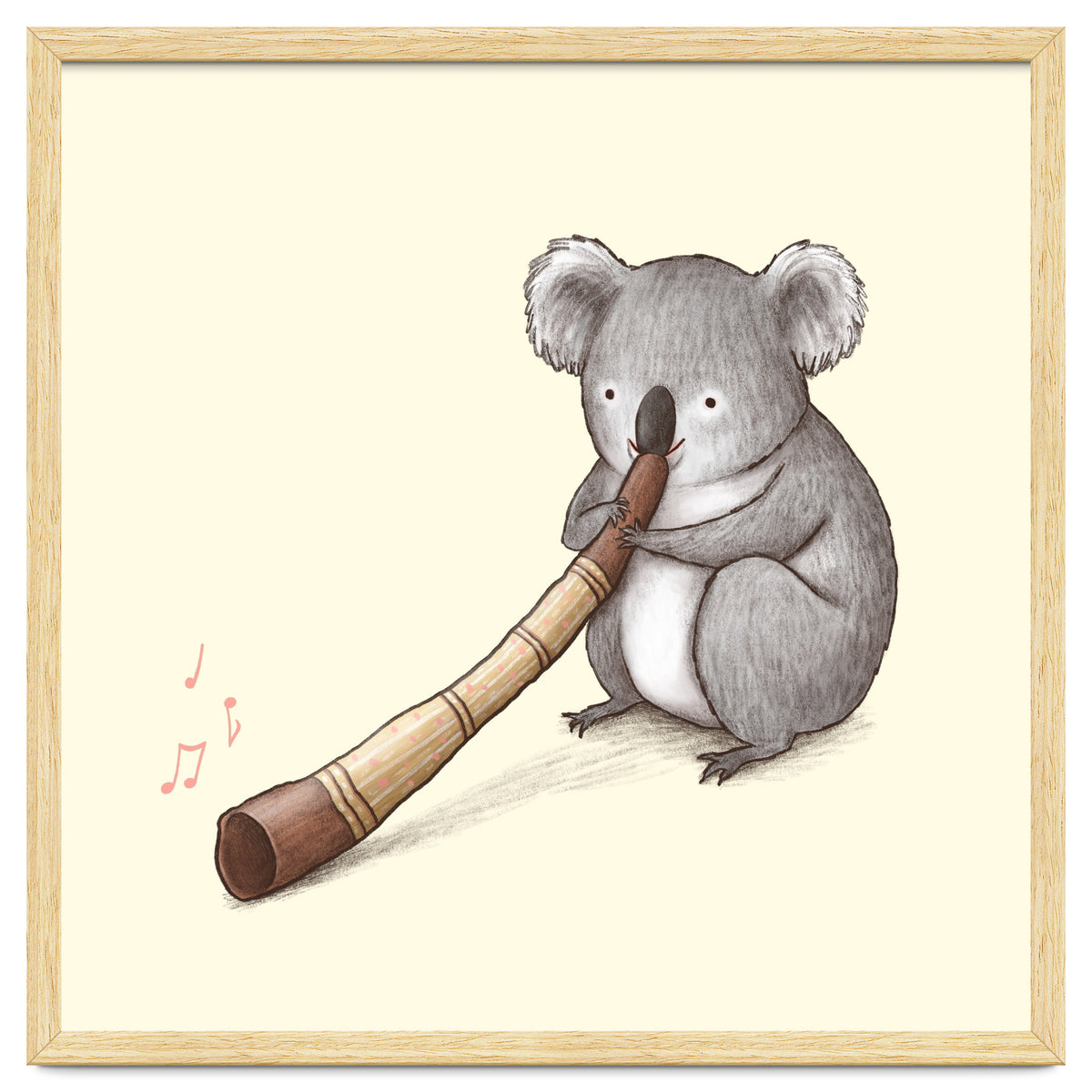 Koala Playing a Didgeridoo