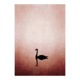 The Swan (Print Only) thumbnail